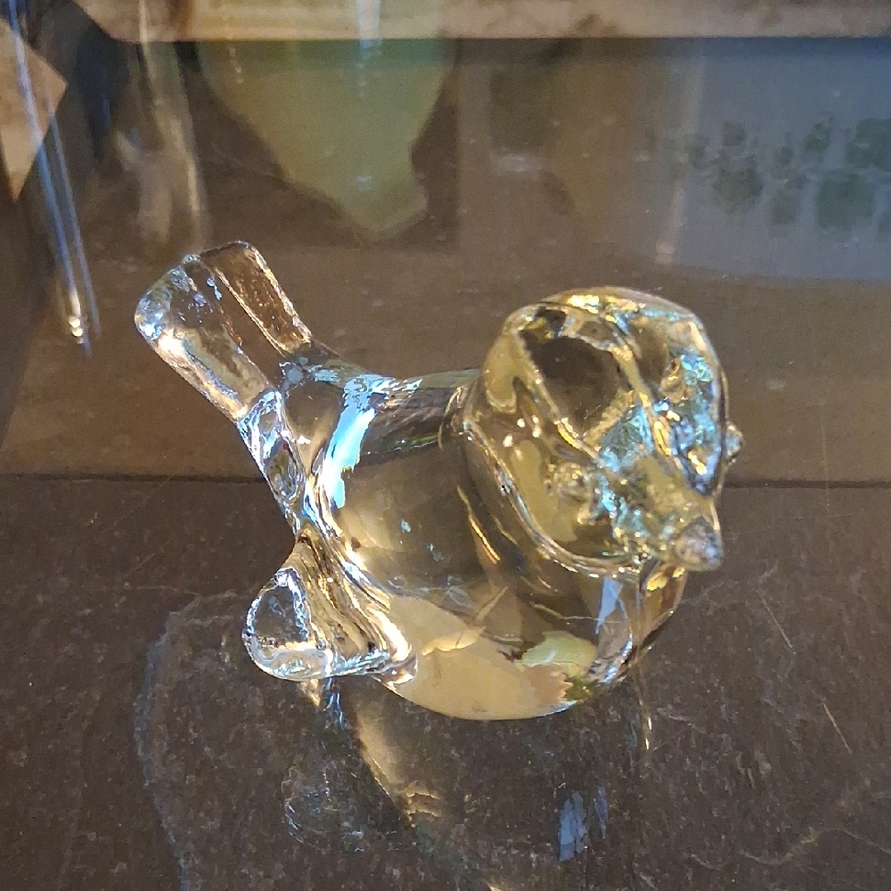 GLASS BIRD